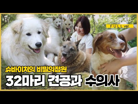 [풀버전] 시골 동물병원을 위해 32마리 견공과 숲 속에 온 수의사🌿 견공들의 슈바이처 이야기  | 동물극장 단짝 EP21 | KBS 220618