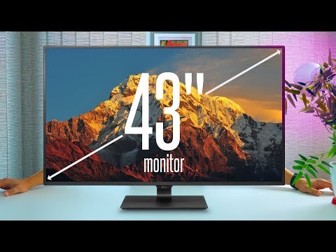 How big is TOO BIG? My Review of LG's MASSIVE 43" IPS 4K Monitor [43UD79]