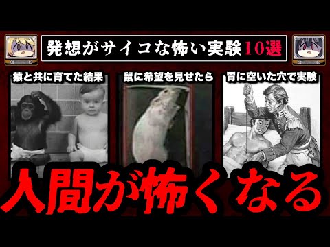 【人間の狂気】発想がサイコな怖い実験10選【ゆっくり解説】