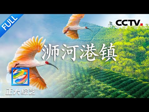 【Full】茶叶炒蛋,茶叶水饺……信阳人的毛尖藏着多少美食秘籍?| CCTV「正大综艺」20230903