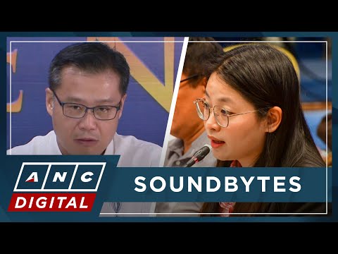 Gatchalian asks OSG to fast-track case vs. Alice Guo | ANC