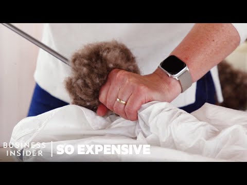 Why Icelandic Eiderdown Is So Expensive | So Expensive