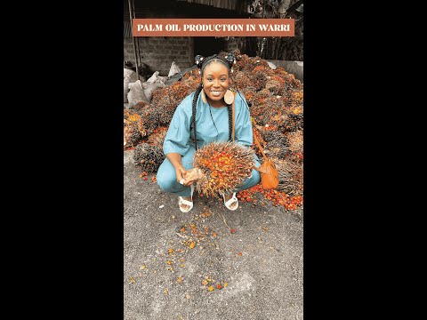 How Palm Fruits are processed into Palm Oil in Warri!