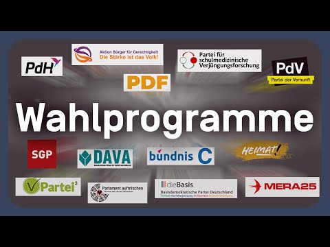 Kleinparteien: Die Wahlprogramme erklärt | EU-Wahl 2024