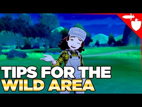 Explore the Wild Area RIGHT in Pokemon Sword and Shield