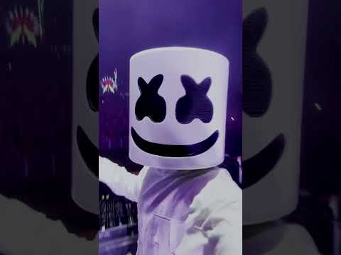 I think they like the song @avaion & @elliegouldingofficial #edm