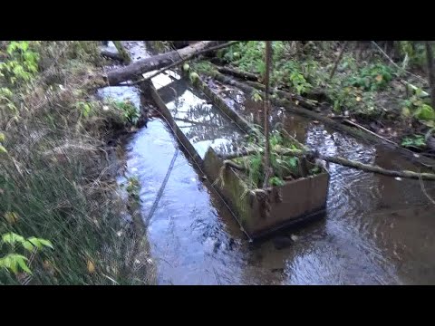 Found gold and platinum! An old industrial device!