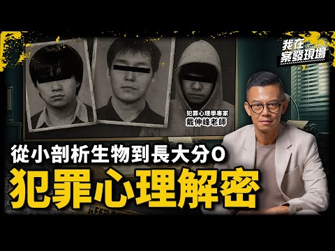 從小解構生物到長大分O！揭秘日本「酒鬼薔薇聖斗」病態心理發展｜犯罪心理學專家 戴伸峰老師｜《我在案發現場》