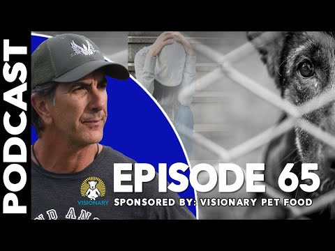 How to Recover After LOSING YOUR DOG - EP.65