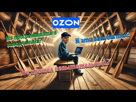 Мой испытательный срок на позиции Senior Golang разработчик в Ozon. Все плохо?