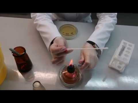 Посев тампоном открытым методом