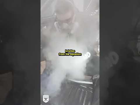 Detail Tips: Removing Mold and Mildew