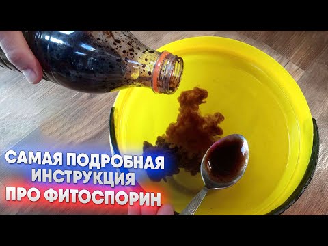 Самая подробная инструкция про фитоспорин