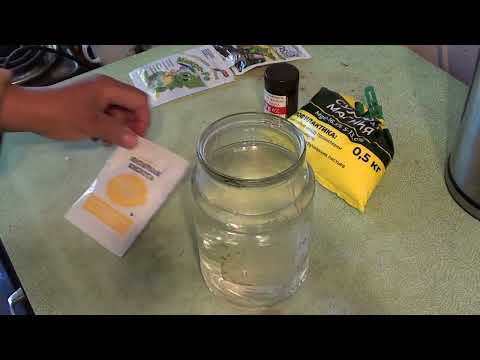 Баковая смесь для лечения всех видов хлороза !!! 100% результат !!!