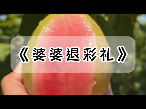 生产完婆婆才告诉我当初结婚的 10 万彩礼是借的，让我还钱。她还「贴心」地给出了两个选项：「要么你现在把 10 万还回来，要么以后每个月我儿子工资全部上交还债。」#小说 #故事