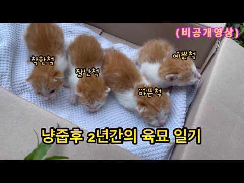 척이네 식구들 처음부터 풀 영상 1부