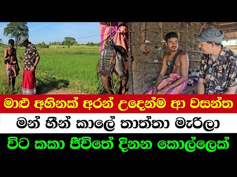 The Boy Who Caught Fish at Dawn | Father Died, I Worked Since Childhood