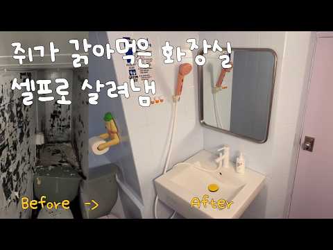 쥐+전세입자가 망친 화장실, 셀프로 끝까지 살려냈습니다✊🏻 (액기스만 담은 2시간 몰아보기🔥) 과정부터 에프터까지 싹다 공개!!! 셀프인테리어 | 낡은주택 고쳐살기
