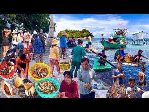 Quần Đảo Hải Tặc Giáp Campuchia Cách Hà Tiên Chỉ 30 Phút