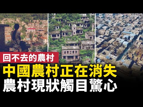中國農村正在消失!有房沒人住 有路沒人走!回不去的農村,呆不下的城市!| #人民報