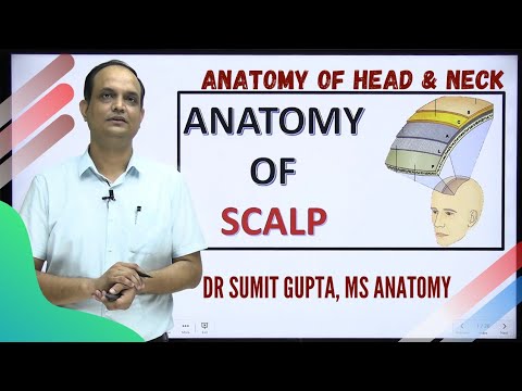 SCALP : ANATOMY