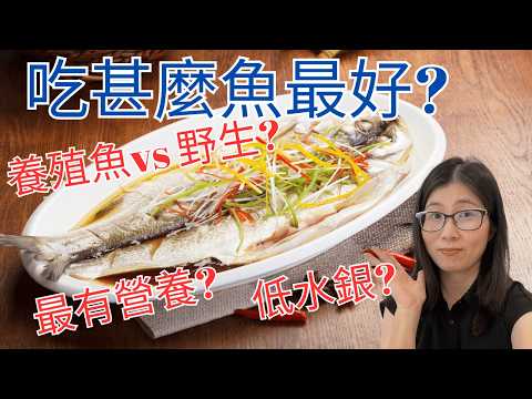 魚的營養高 | 吃甚麼魚最安全 ? 不怕重金屬 ! 野生比養殖有營養嗎 ? 營養師媽媽Priscilla (粵語中文字幕)