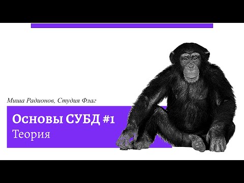 Базы данных за 42 минуты. Теория
