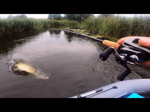 Щуки звереют! Разловил воблер на первом забросе!