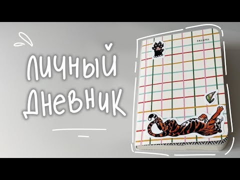 фалафель в цветную клеточку