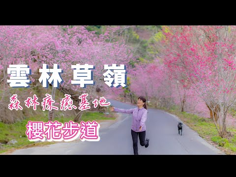 『草嶺石壁風景區』導航別導錯了設定正確會節省很多時間 導航請設定「草嶺第一停車場」