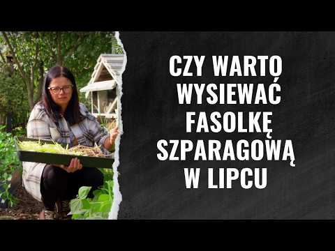 CZY WARTO WYSIEWAĆ FASOLKĘ SZPARAGOWĄ W LIPCU | Kasia in