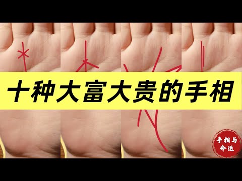 【十种大富大贵的手相】有一个就是人中龙凤｜身价过亿的手相特征｜只占一种也是百万富豪｜非富即贵