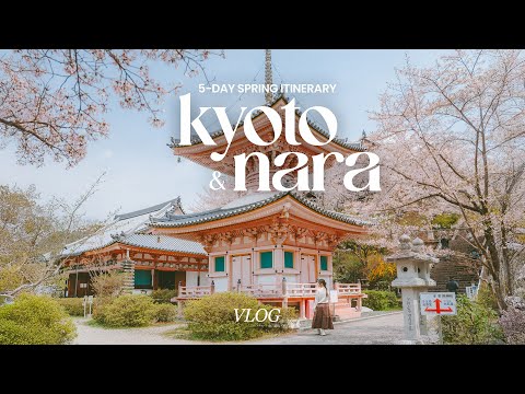5-day spring itinerary in kyoto (+day trip to nara) | best sakura spots, food & cafe recommendations