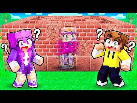 Minecraft BUILD and SEEK!