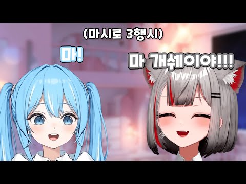 [마시로, 타비] 타비 괴롭히기 -2-