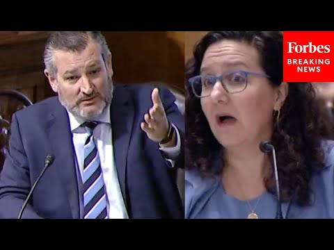 JUST IN: Ted Cruz Accuses Biden Nominee Of 'Concerning' Conduct To Her Face