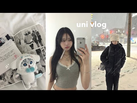 productive uni week in my life: (aespa concert suite, studying for midterms, assignments, snowstorm)