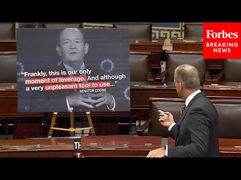 JUST IN: John Thune Absolutely Tears Into Democrats For Using Shutdown As 'Leverage'