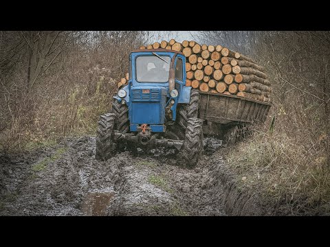 Extreme wood harvesting in a Ukrainian village /// T 40 tractor and off-road