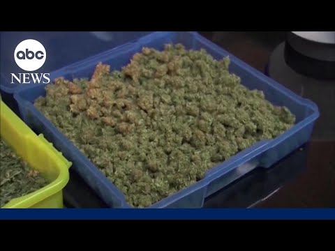 President Trump signs executive order to ease cannabis restrictions