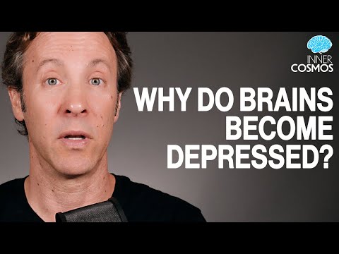 Why do brains become depressed? | Inner Cosmos with David Eagleman