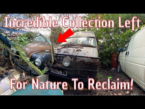 We Found A Collection Of Extremely Rare Vehicles Left At An Abandoned Farm!