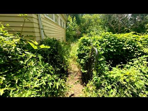 Overgrown Lawn Turned DANGEROUS When We Started Mowing, HIDDEN SIDEWALK Reveal