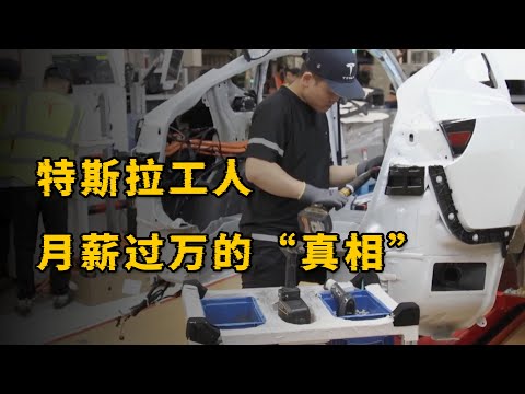 上海特斯拉究竟是一家良心企业还是血汗工厂？为什么还有人愿意付费上班？