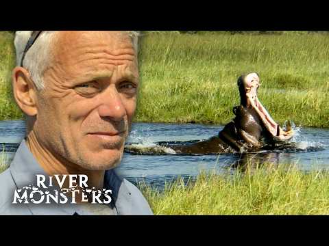Best Moments and Catches in Africa | River Monsters