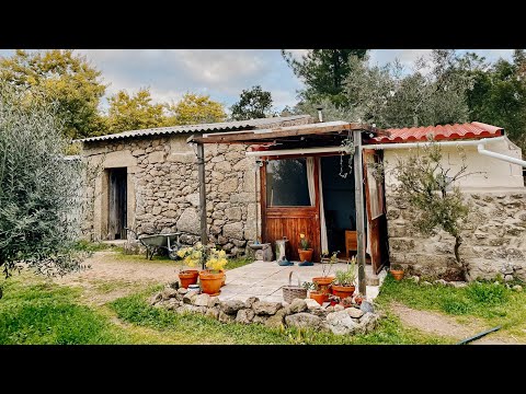 Getting our off Grid Cabin Cosy for Winter