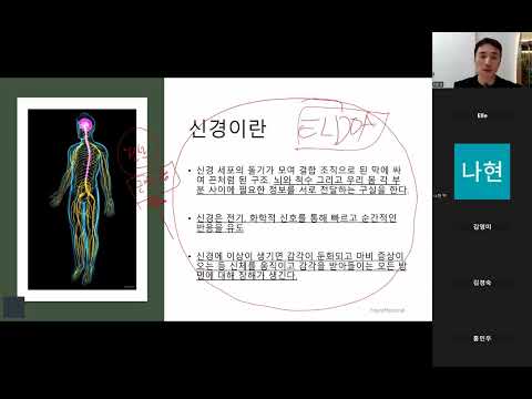 상완신경총(주간피트니스솔루션 29주차 )