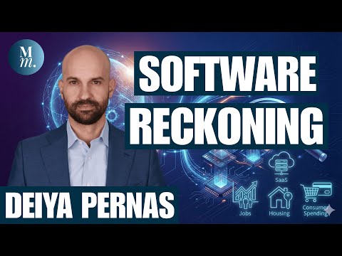 What Investors Don't Understand About the Software Meltdown | Deiya Pernas