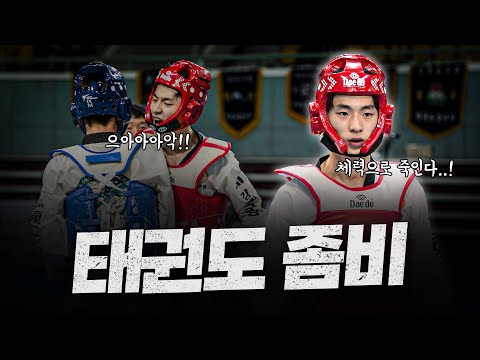 올림픽 금메달도 탈락한 태권도 국대선발전에서 살아남은 단 한 사람 '태권도 좀비' 배준서 ㄷㄷㅣPARK Tae-joon vs YANG Huichan vs BAE Jun-seo