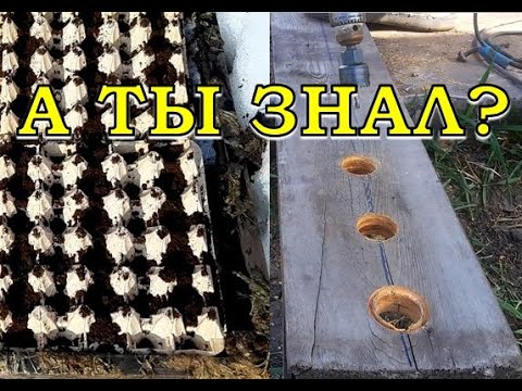 ХИТРОСТИ  дачников и ИДЕИ для ОГОРОДА👍👍👍